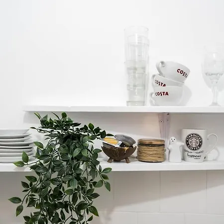 Downtown Cozy Old Town Daire