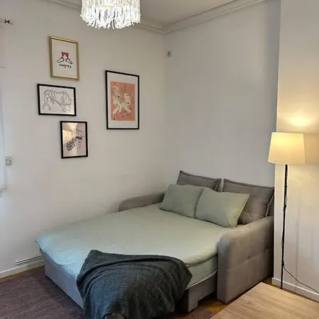 Downtown Cozy Old Town Apartment *