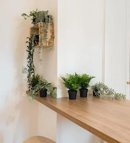 Downtown Cozy Old Town Lägenhet